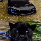 382739224_306745798654745_1534286211533106254_n