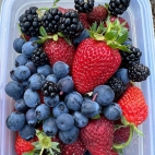 370547538_293047083463812_2870712897532518737_n