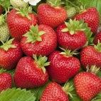 383810017_304566342314785_9146262996999403288_n