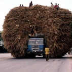 382589876_726315566183542_56424106413386490_n