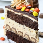 382711629_164572950027379_1733859951186316048_n