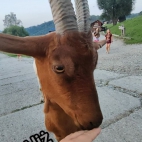 380328351_122096049956063203_213537905912138938_n