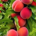 383810234_287287324163632_7803026930801626712_n