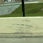 382232993_3585302611788893_1404410539022578528_n