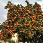 380150964_220865694304220_2528870155015599266_n