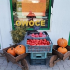 381401059_287689837544156_3141700880017375108_n