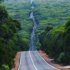 382486892_6623916834328382_290408845297345257_n