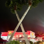 381178960_10161341291084810_4519895774694531537_n