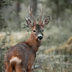 380701802_637596048538093_146906922294633990_n