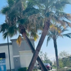 383224979_10227178947212067_1237889494227438001_n