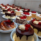 384305212_206206709147179_3924503197144025236_n