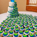 380205881_122109444350036822_516333855430688437_n