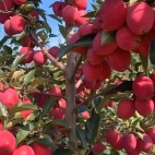 379534651_208683275554707_2958541372200153622_n