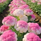 381074014_635553298648371_4530057868729701693_n