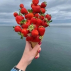 383809088_10231454002439101_2354247243093368693_n