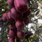 379252767_629055076060492_7192439572850875742_n