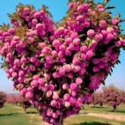 380268399_291692996953640_5004798688716973325_n