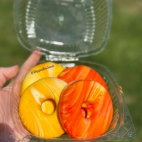 382727979_284989517628853_7357145232823331014_n