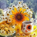 384309378_1028903935228984_6191268398266859066_n