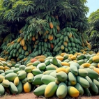 380762532_701301165358720_4422345251410982680_n