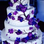 378171418_276713215134394_1821464102023315159_n