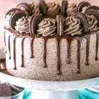 380478037_295479446761708_5692556723850717310_n