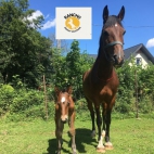 378370942_122100250358048405_6478851735563503360_n