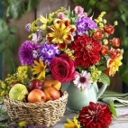 384309389_1028903898562321_1162468244485289984_n