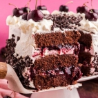 381023074_273464608939339_605222110917933719_n