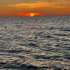 377553654_122111193620030770_1077746770940463940_n