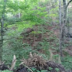 377510285_3518986621709893_8440131966447850002_n