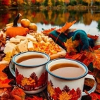 382725020_1027168242069220_7732927542345338997_n