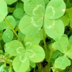 384120198_689790903199255_8860051610383638142_n