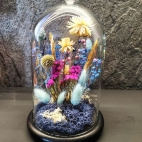 375224704_6905932912771374_8184530550531732361_n