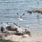 362523591_122412297581251_1684878236411715824_n