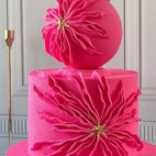 380950718_282184231253959_5755573451547228531_n