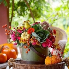 384342559_1028903971895647_5603716500476295878_n