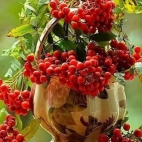 382731738_1027168432069201_5551612337430755445_n