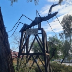 366600527_2464609810386233_592266922909400557_n