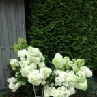 371039456_122098959956024520_4293920464540319533_n