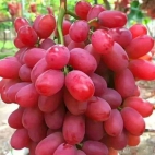 350145524_1323548155212899_7203470766915439652_n