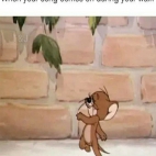 382171642_212875155132108_6032081513025860075_n