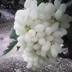 374763588_318617017492072_2056753320578692016_n