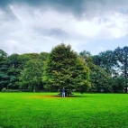 379345793_122096542280049686_7659114099754342827_n