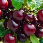 379535244_635394615374592_3147662316176992123_n