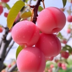 381103749_275291758727457_1372208606297573302_n