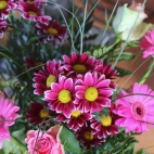 339978389_1156680245000924_3618696423628897498_n