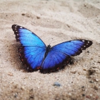 381086795_2090463894638195_4347438047801325519_n