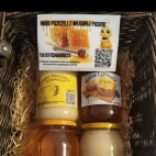 374766546_239026622455181_8154706060492561878_n