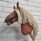 380364386_122097048800049857_5936664313292800737_n